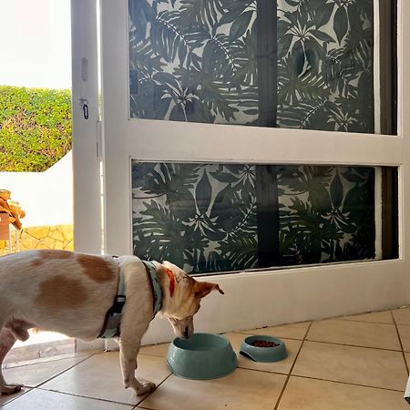 Studio Albufeira Jardim T0 Luaran gambar