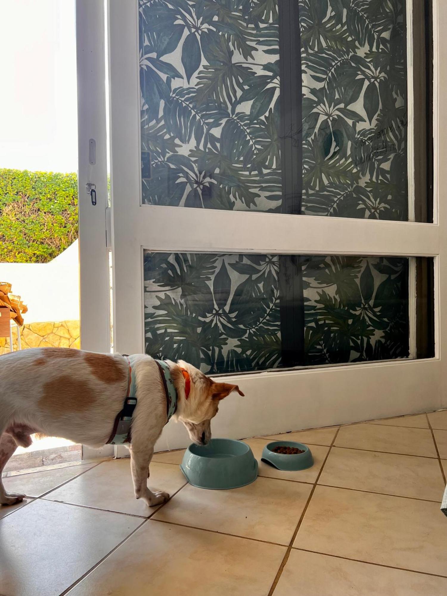 Studio Albufeira Jardim T0 Luaran gambar